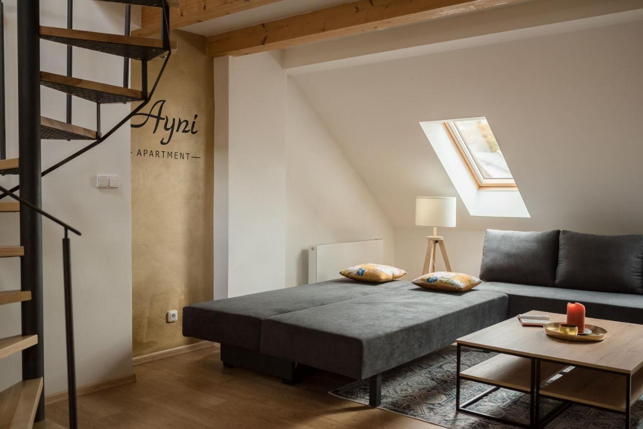 Ayni Apartman Semily Luaran gambar